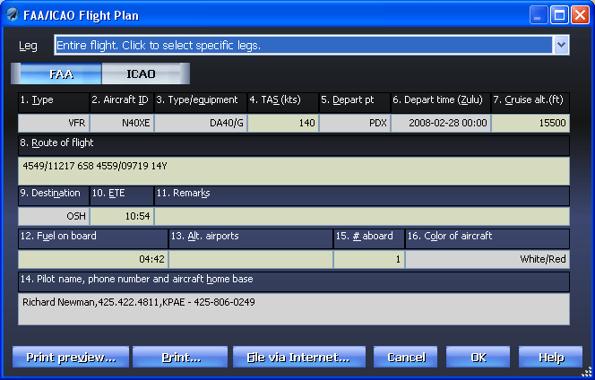 File Flight Plan Electronically